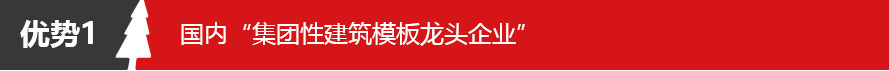 五棵松系列清水模板 小板 21